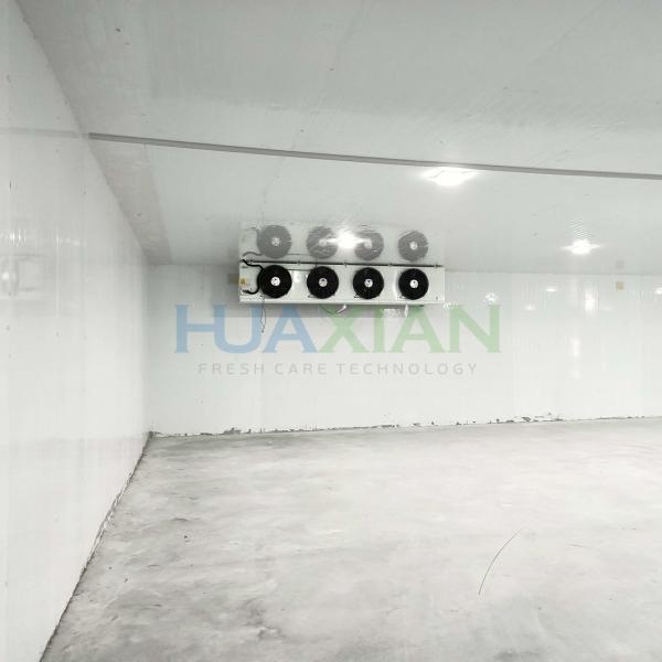 China Sale Industrial Refrigeration Equipment Modular Container Blast Freezer/Walk in Freezer/Defrost/C
