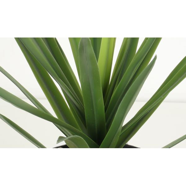 Texture Fidelity Greenery Agave Faux Bonsai Tree 22 CM 25 CM 29 CM