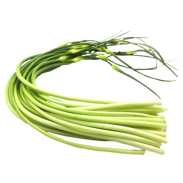 Fresh Garlic Shoot in new crop Chinese Garlic Stem Sprout