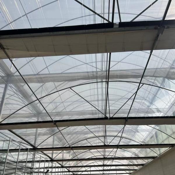 Revolutionize Agriculture with PVC Pipe Drip Irrigation Greenhouse and Fast Shipping