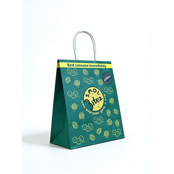Custom Recyclable Disposable Kraft Paper Twisted Handle  Bag Printing for Shopping Bakery