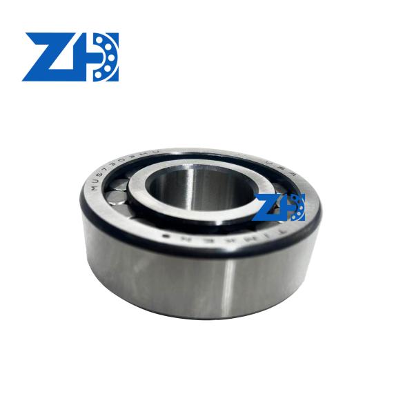 MUS7303 MU rodamientos de rodillos cilíndricos fábrica directa suave de larga duración