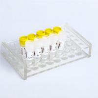 Super SYBR vert qPCR mélange pour ADN QPCR en temps réel