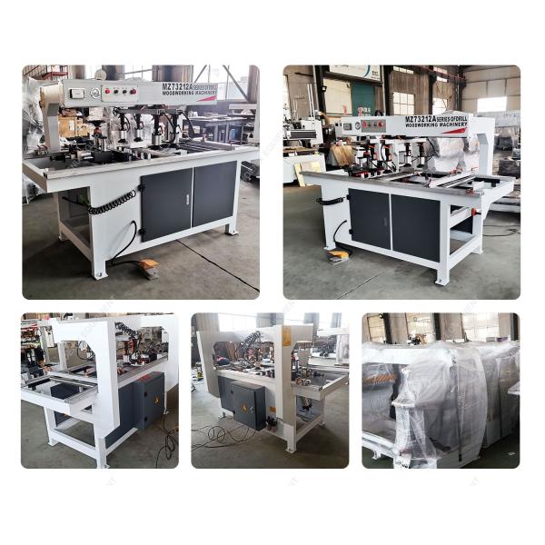 2 Head Multi Boring Machine for Wood Panel Board Drilling in Furniture Cabinet Door