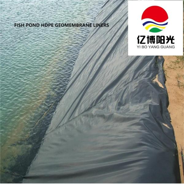 -Directed Supply of Waterproof HDPE Geomembrane Liners Ideal for Aquaculture Industry