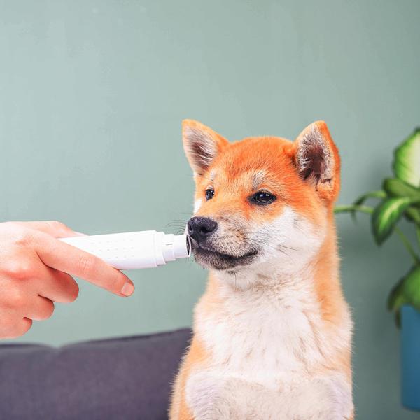 Cortador automático de uñas recargable para gatos cortadores de uñas para perros pequeños