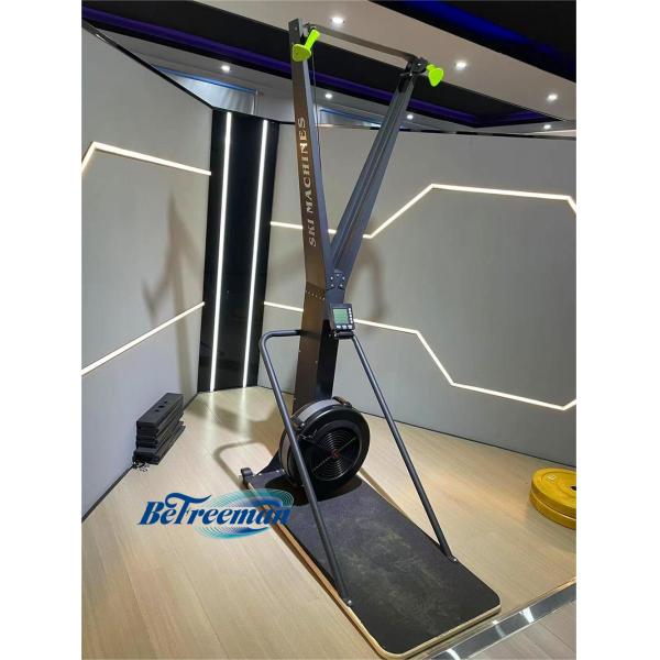 Ski Simulator Machine Indoor Cardio Training Gym Equipment Fitness