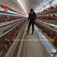 Gaiola personalizada da galinha da camada, baixa gaiola de bateria Doris das aves domésticas do aço carbono Q235