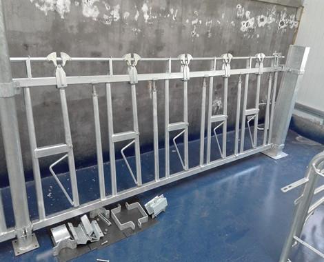 Equipamento de prata 8ft da criação de animais do alimentador do Headlock do gado da cor 10ft 12ft