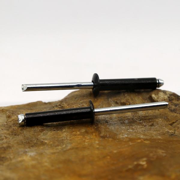 Customized Stainless Steel Pull Rivet Cold Forging DIN ISO GB