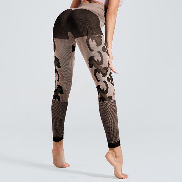 2019 Leopard Grain Fitness Seanmless Mesh Mulher Yoga Leggings ou Top