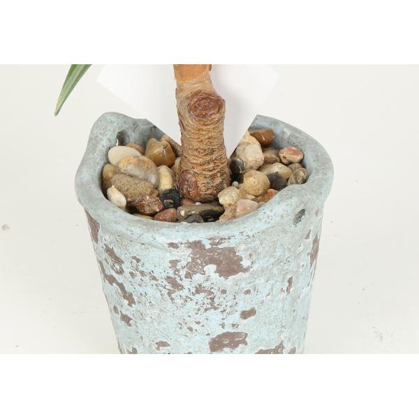 Greenery Flexible Glue Agave Artificial Bonsai Tree 22 CM 25 CM 33 CM