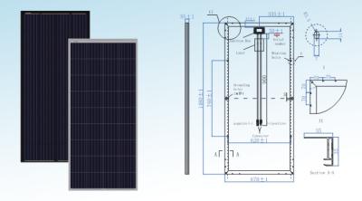 Anti painel solar policristalino branco do PID 165W Backsheet
