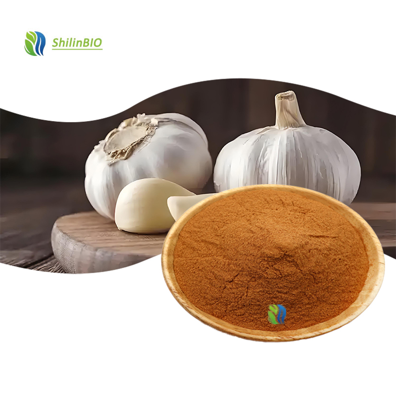 High Quality Garlic Extract Powder 10:1 20:1 30:1 Allium Sativum Extract Water Soluble