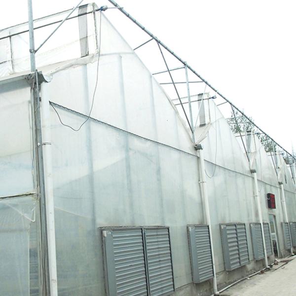 Реклама автоматического Multi парника полиэтиленовой пленки пяди аграрная промышленная