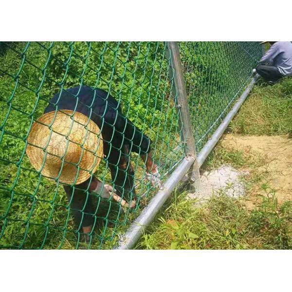 Ограждать звена цепи сада 2.0m стадиона гальванизированный высотой