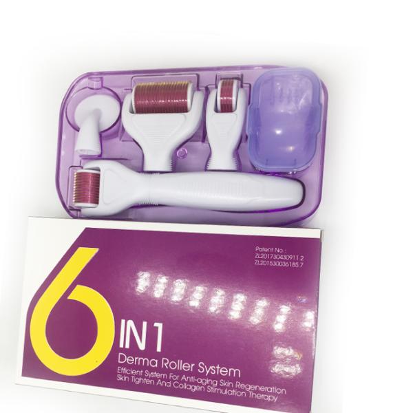 Derma Rolling System and Needle Material Stainless Steel / Titanium 6 In 1 Derma Roller