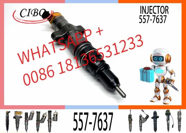 Injector 557-7637  10R-4844 328-2573 553-2592 557-7633  328-2576 258-8745 265-8106 267-3361 387-9435 For Engine C9