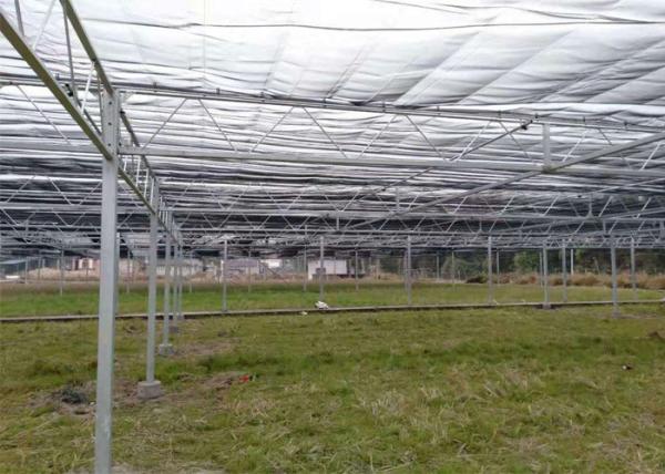 Customized Design Plastic Film Greenhouse , Lettuces Multi Tunnel Greenhouse