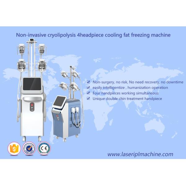 9 In1 Weight Loss Cool Tech Body Slimming Fat Freezing 360Cryolipolysis Machine