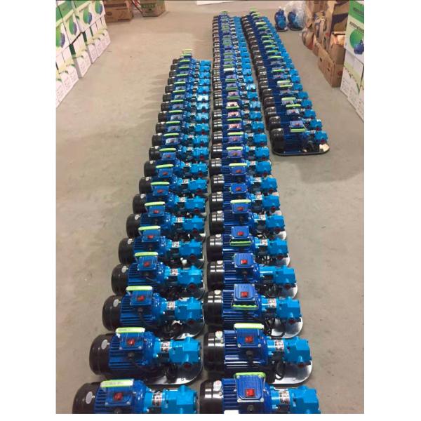 Blast Protection Double Gear Pump , Gear Lube Transfer Pump WCB Series