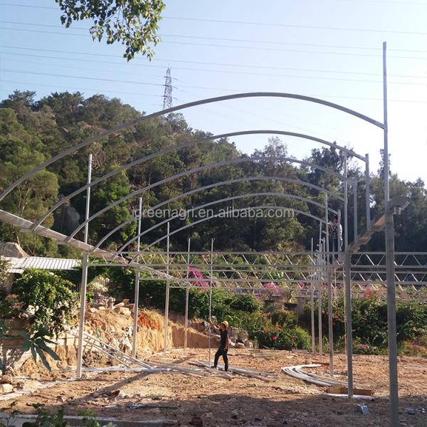 IGreen Tunnel Strawberry Greenhouses for Sale Price of M2 Agricultural Greenhouse