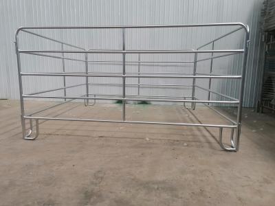 Livestock Cattle 1.6m Metal Farm Gate Galvanized Steel Pipe Design