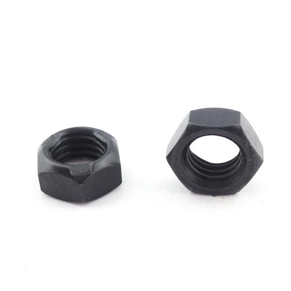 DIN Standard Cold Heading Precision Customized Nut Stainless Steel Materials