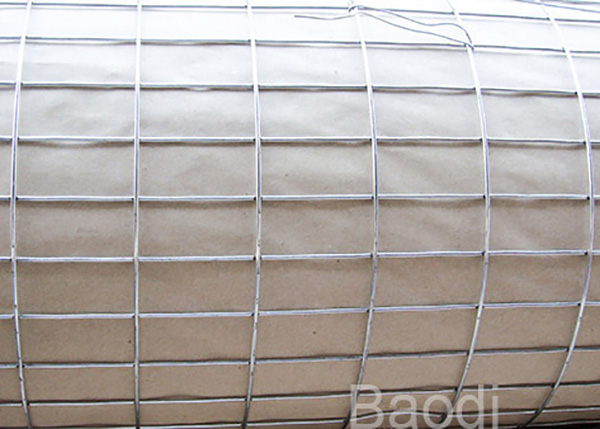 Agricultural Welded Stainless Steel Wire Mesh , Pet Cages Galvanised Wire Mesh Roll