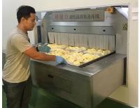 Alimento de alta qualidade Iqf de DJL que faz congelamento rápido o congelador do túnel do equipamento para o marisco e o vegetal