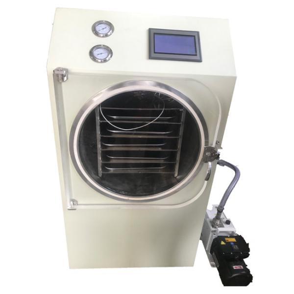 Kitchen Appliance Domestic Freeze Dryer Touch Screen Operating Great Power
