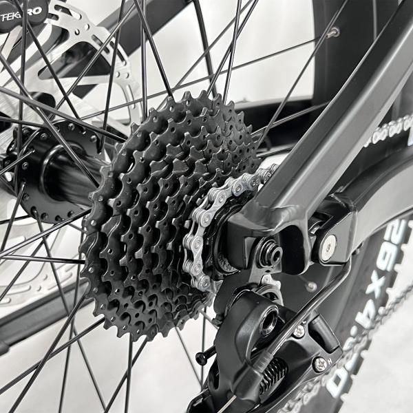 48V 1000W Mid Drive Electric Bike 26 Inch Fat Tire Full Suspension Mountain Ebikes
