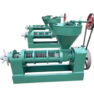 High Efficiency Stainless Steel Spiral Oil Press Machine with Adjustable Speed for Commercial Use