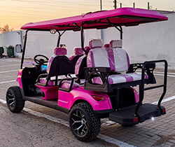 Convenient Golfing Experience Electric Golf Carts Trolley Design with Li-ion Battery