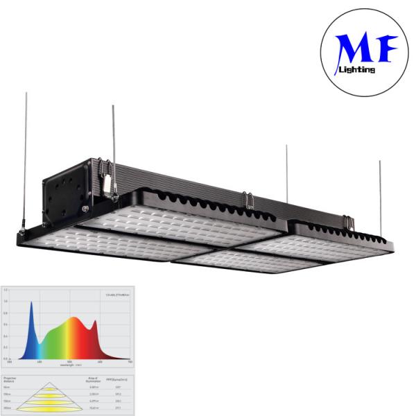 Full Spectrum Greenhouse Fill Light Plant Grow LED-Light IP66 IK08 à prova d'água 540W Para plantas que crescem Fábrica