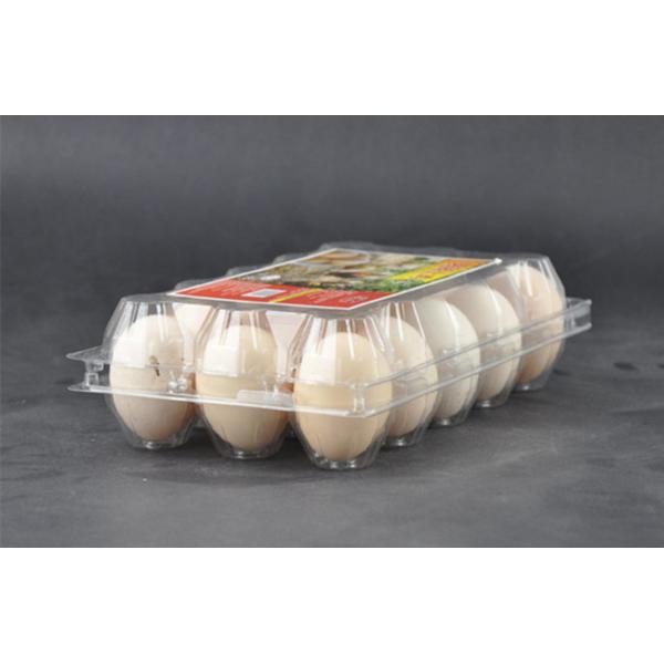 3x5 Cavities Disposable Plastic Egg Tray Plastic Egg Holder For Chick Egg