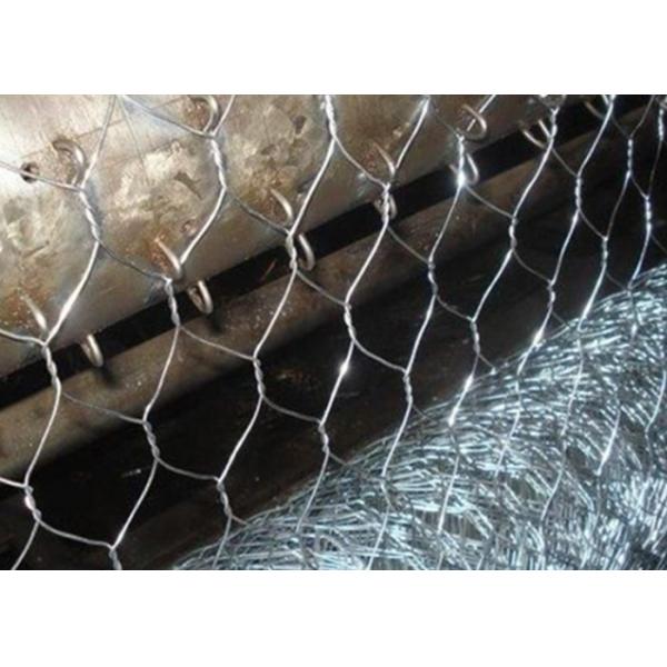 Hexagonal Galvanized Chicken Wire Mesh BWG 12 3/4