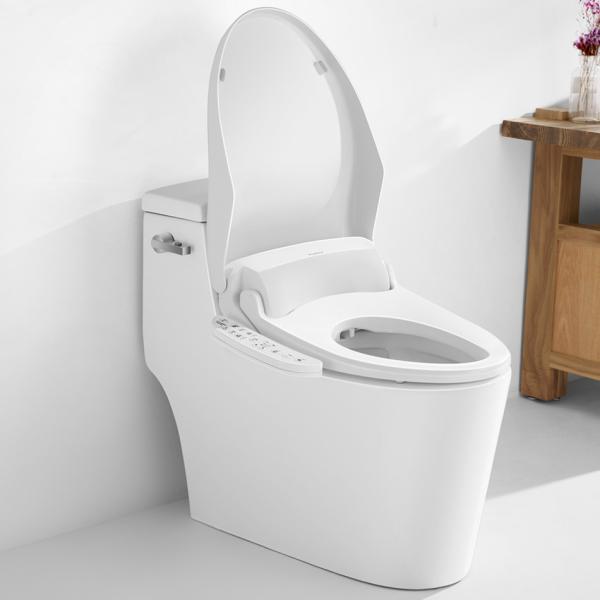 Electric Smart Bidet Toilet Seat Remote Control Dual Nozzles For Health Care