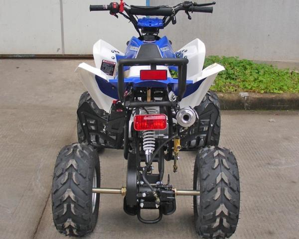 Automatic Clutch Youth Atv 4 Wheelers 45km/H Max Speed 70CC 90CC 110CC CDI Ignition