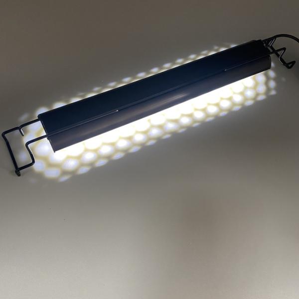 Fonction de chronométrage Lampe UVB ampoule UVB pour tortue-dragon barbu Lézard
