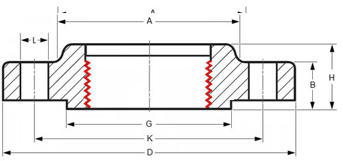 Threaded ASTM A105 Forged Steel Flanges 1