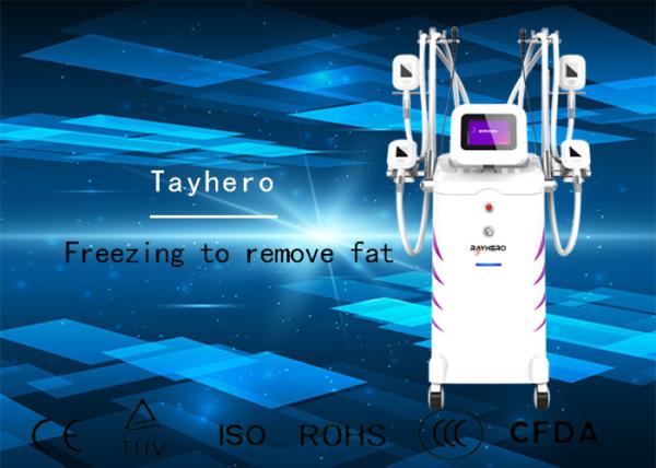 Vertical Cryolipolysis Slimming Machine For Body Weight Loss 4 Handles Available