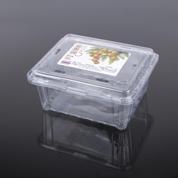 Clear 19.5*16*9cm Disposable Plastic Fruit Containers