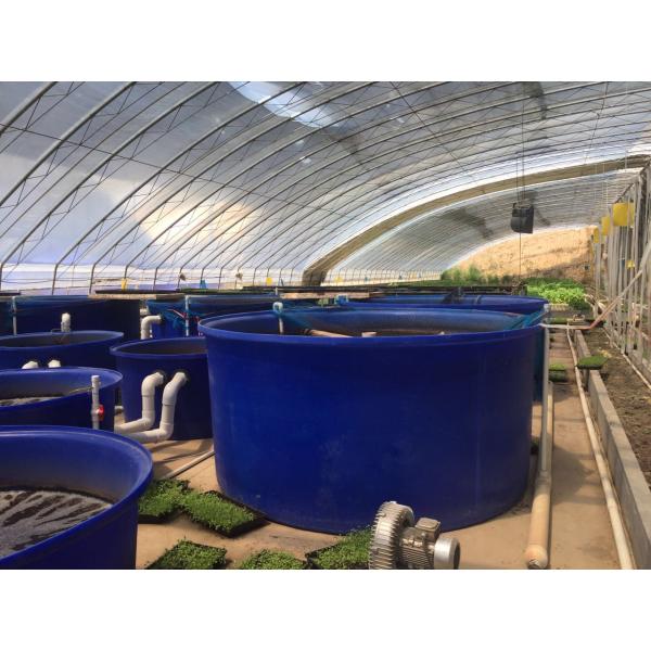 1500l огромный открытый верхний цилиндрический танк, Roto отлил черный пластиковый пруд в форму ушата