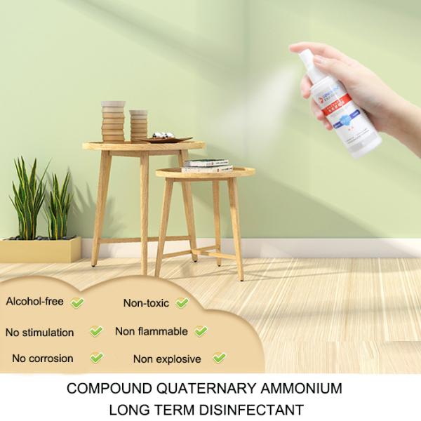 Indoor Outdoor Disinfectant Body Spray 50 ML Non - Toxicity Environment Friendly