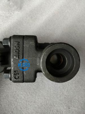 A105N Material High Pressure Gate Valve , Socket Weld Gate Valve Modular Design