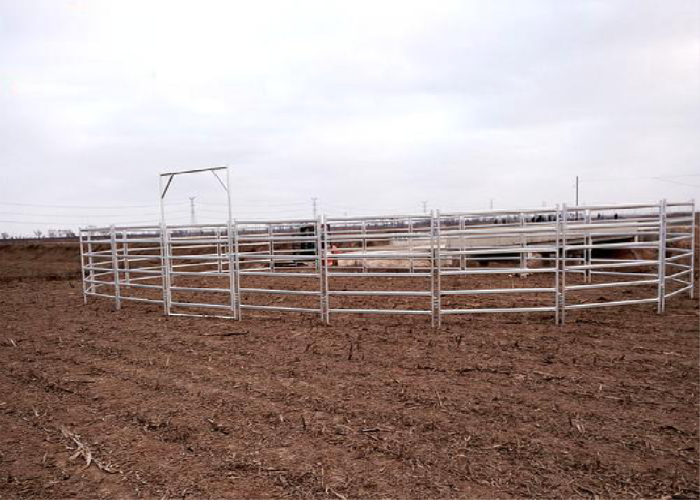 Anti Impact Galvanized Livestock Fence Panels Multi Terrain For Large Cattle / Horse Ranches