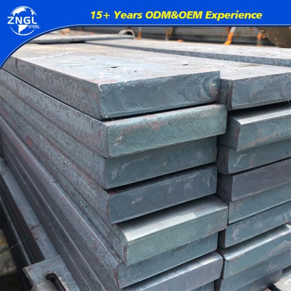 4.5-34mm Punching Carbon Steel ASTM 301 316L 304 Stainless Steel Flat with Directly
