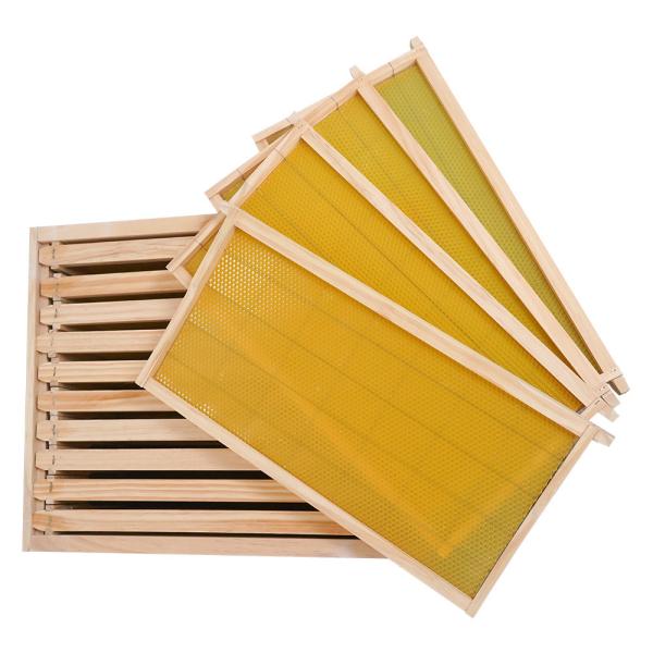 20mm Thickness Plastic Frame Complete Bee Hive Kit With Foundation