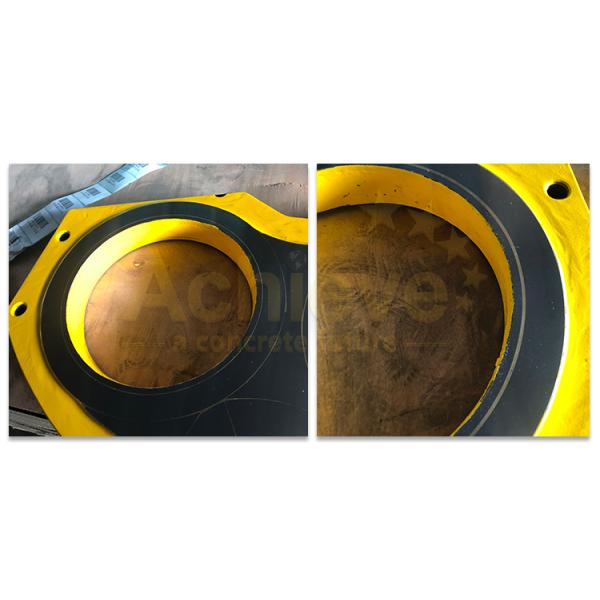 Насос C00178600 PUTZMEISTER конкретный разделяет для стеклянного блюд блюда и для того чтобы нести кольца